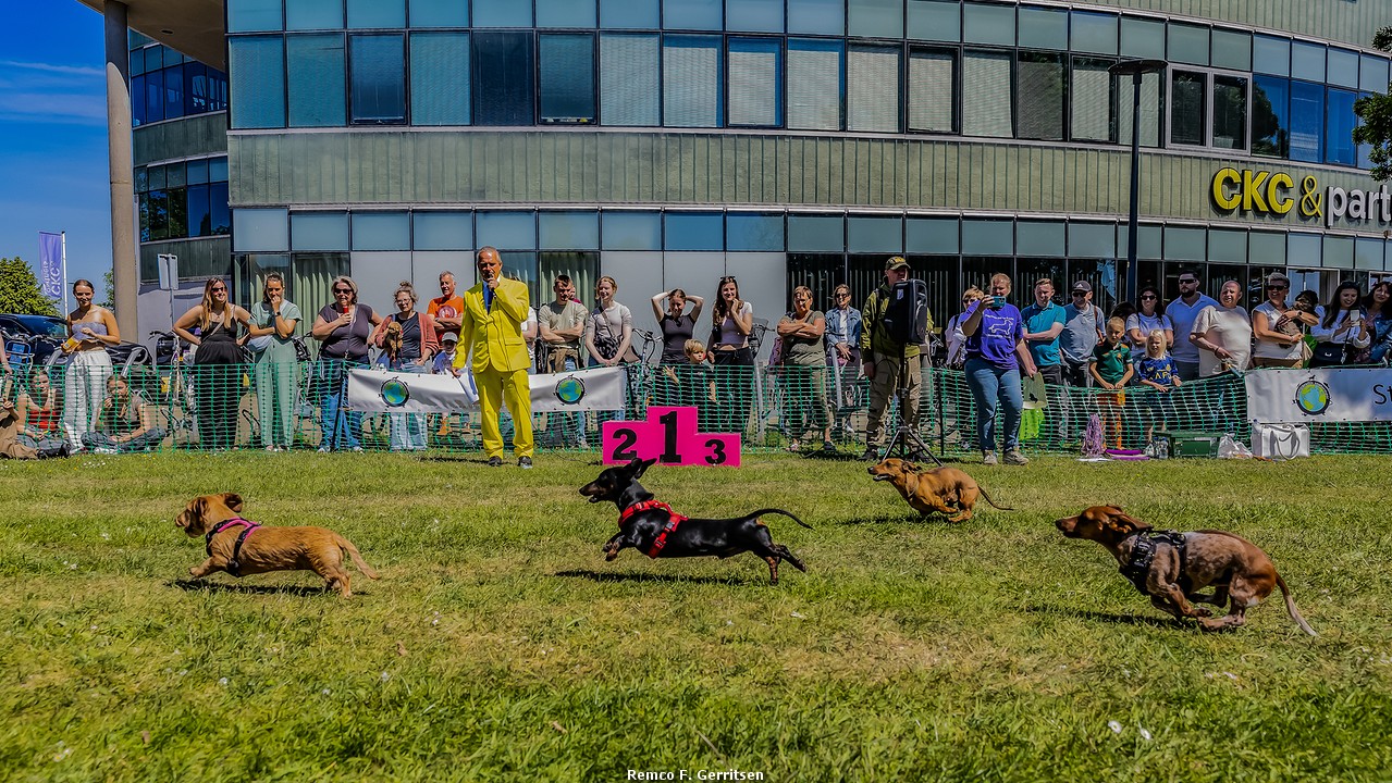 Mijn beste evenementen foto’s van 2025